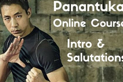 learn panantukan online