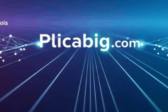 plicabig.com