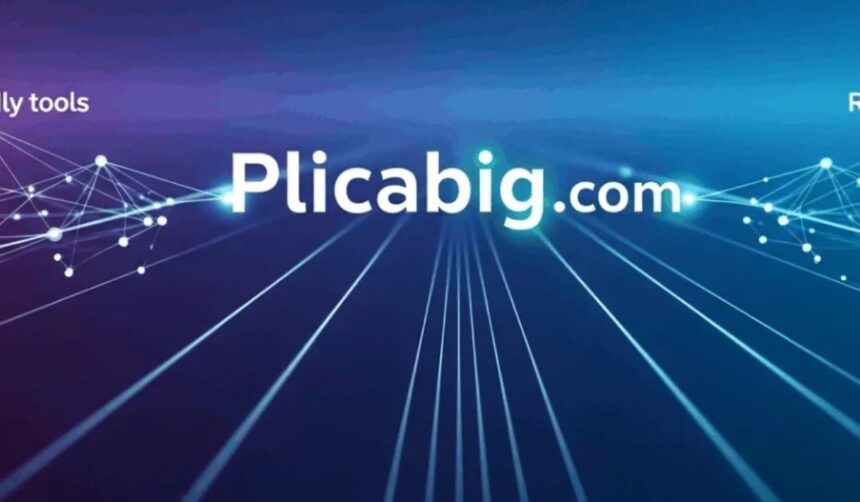 plicabig.com