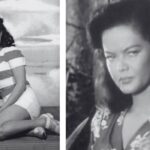 Nia Novella Travilla