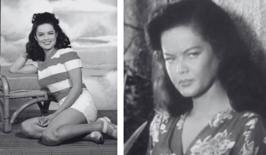 Nia Novella Travilla