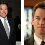 michael weatherly net worth