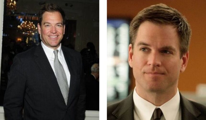 michael weatherly net worth
