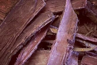 mimosa hostilis root bark