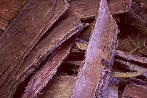 mimosa hostilis root bark