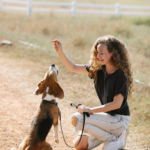 Dog Behaviors