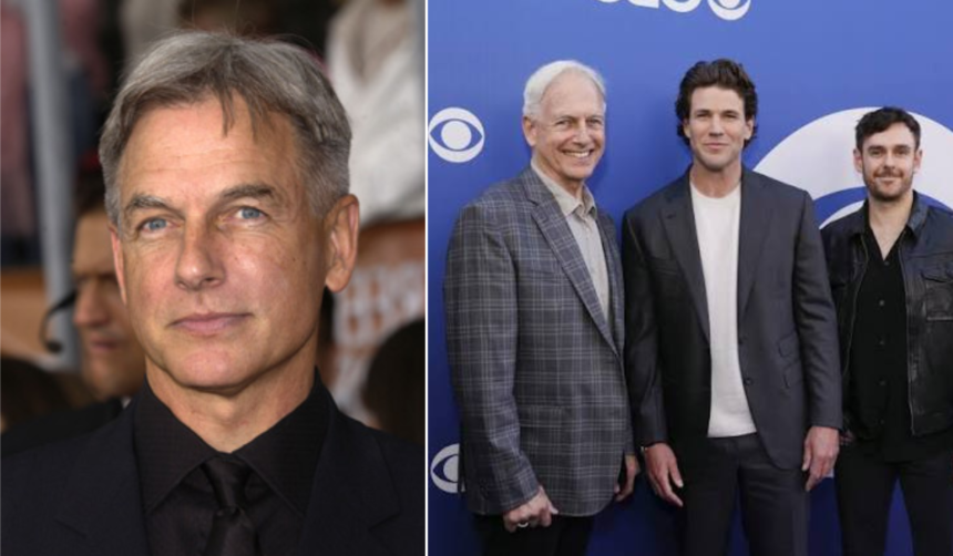 Mark Harmon